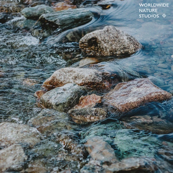 Rivers Around The World - EP