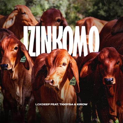 Izinkomo (feat. TiggySA & Kirow) - Single