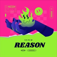 Reason - Single - SKREW