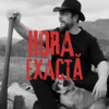 Hora Exacta - Subcarpați