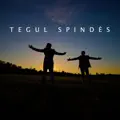 TEGUL SPINDES