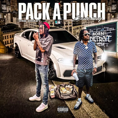 Pack A Punch (feat. Louie Ray) - Single