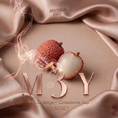 So addict (feat. Le Belge - Conscience Rap) - Single