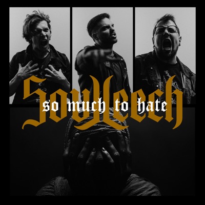 So Much To Hate - Single