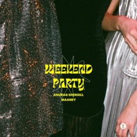 Weekend Party (feat. Maaney) - Single - Anurag Shergill