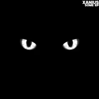 Wonderful — Xanius