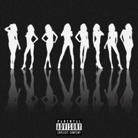Model Bitches - Single - Rik