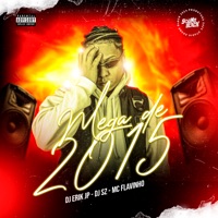 Mega de 2015 - Single - DJ Erik JP, DJ SZ & MC Flavinho