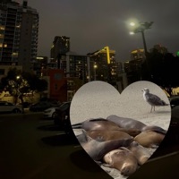 contigo - Single - AM!