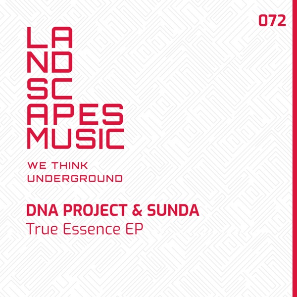 True Essence - Single