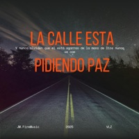 La calle esta pidiendo paz (feat. VLZ) - Single - JM. FireMusic