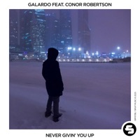 Never Givin' You Up (feat. Conor Robertson) - Single - Galardo