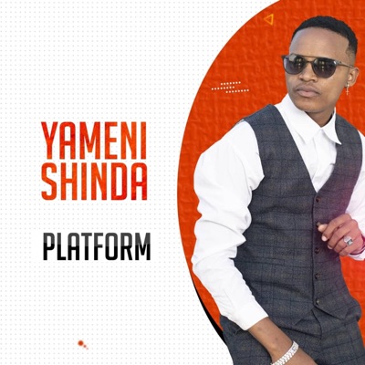 Platform Tz - Yamenishinda