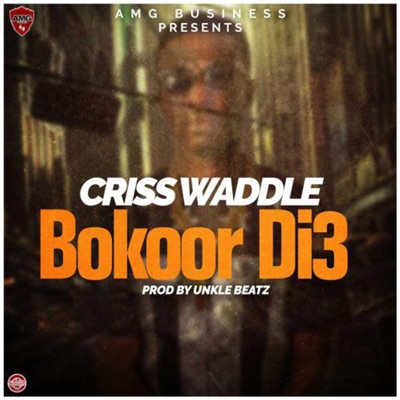 Bokoor Di3 - Single