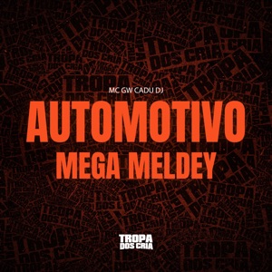 Automotivo Mega Meldey