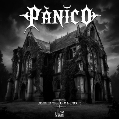 Pánico (feat. percel) - Single