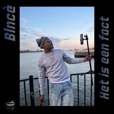 Het is een fact - Single