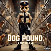 Dog Pound - Single - Xand3rLand