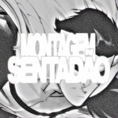 MONTAGEM SENTADÃO - Single