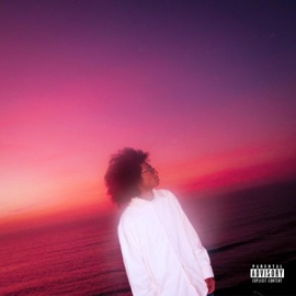 noe valley everyrockstar