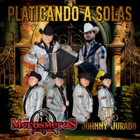Platicando A Solas - Single - Los Meros Meros de la Sierra & Johnny Jurado