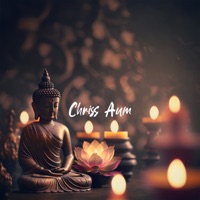 Metta - Chriss Aum & Aurvendeta