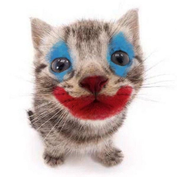 Clown小丑