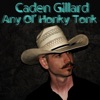 Any Ol' Honky Tonk - Single