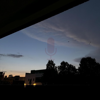 voicemail.wav - Single