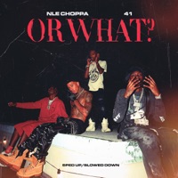 Or What (Sped Up/Slowed Down) - Single - NLE Choppa, 41 & Kyle Richh