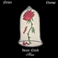 Never Change (feat. Nessa) - Single - Isaac Clark