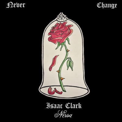 Never Change (feat. Nessa) - Single