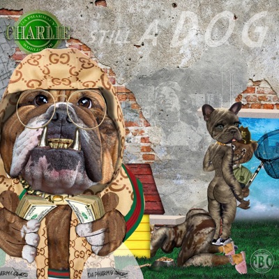 Still A DOG - Single