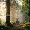 Monty Sounds - Morning Forest Trail