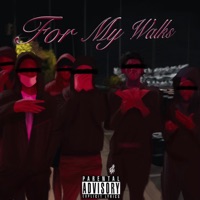 For My Walks - Ak4y