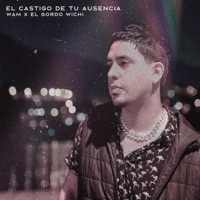 Castigo De Tu Ausencia (feat. El Gordo Wichi) - Single - WAM