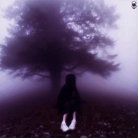 sorrow - Single - $zwecki