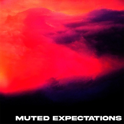 muted expectations