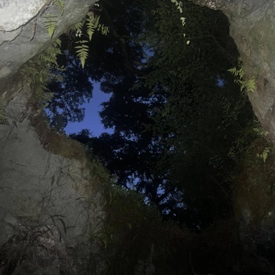 Poison (feat. 4ourDee) - Single