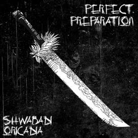 Perfect Preparation (Maki Zenin) (feat. Oricadia) Shwabadi
