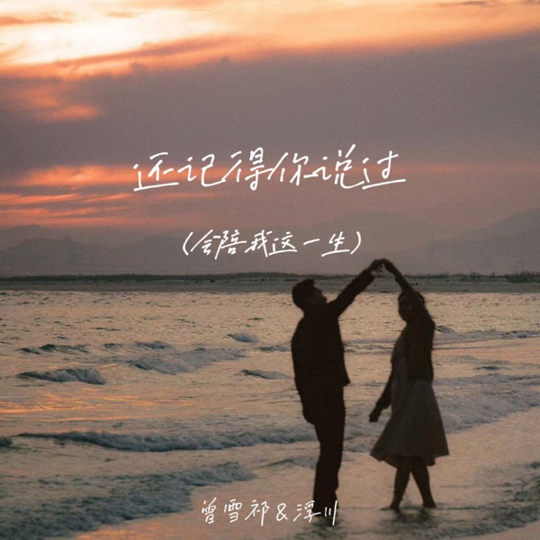 还记得你说过 (会陪我这一生) - Single