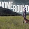 HOMEBOUND. - Caysen Lee lyrics