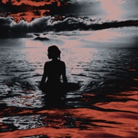 back to you - Single - nohrin, TRAKEA & auvision