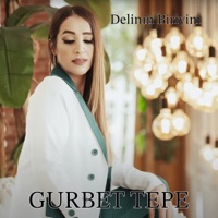 Delinin Biriyim - Single - Gurbet Tepe