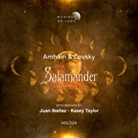 Salamander - Single - Amháin, Covsky & Kasey Taylor