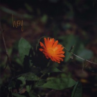 Hoy - Single - Joselu Manteca