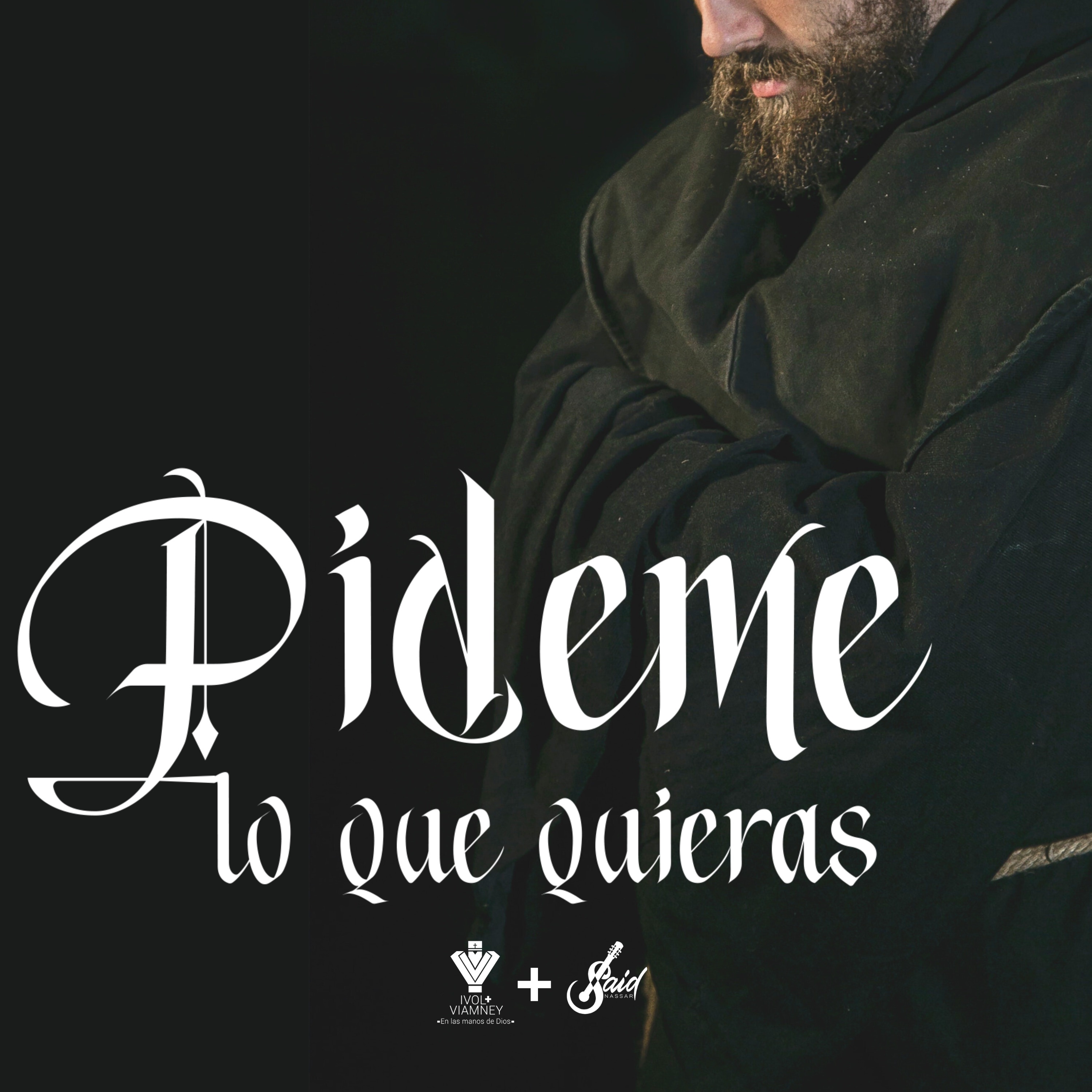 Pídeme Lo Que Quieras - Single
