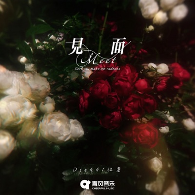 见面 - Single