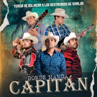 Donde Manda Capitán - Single - Tercia De Culiacan & Los Destacados De Sinaloa