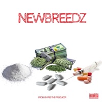 Newbreedz (feat. Newbreedz) - Pb3 The Producer